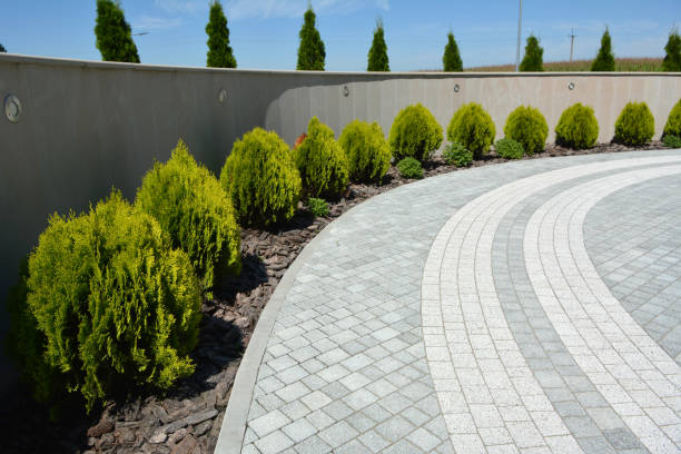 Best Best Driveway Pavers  in Maysville, MO